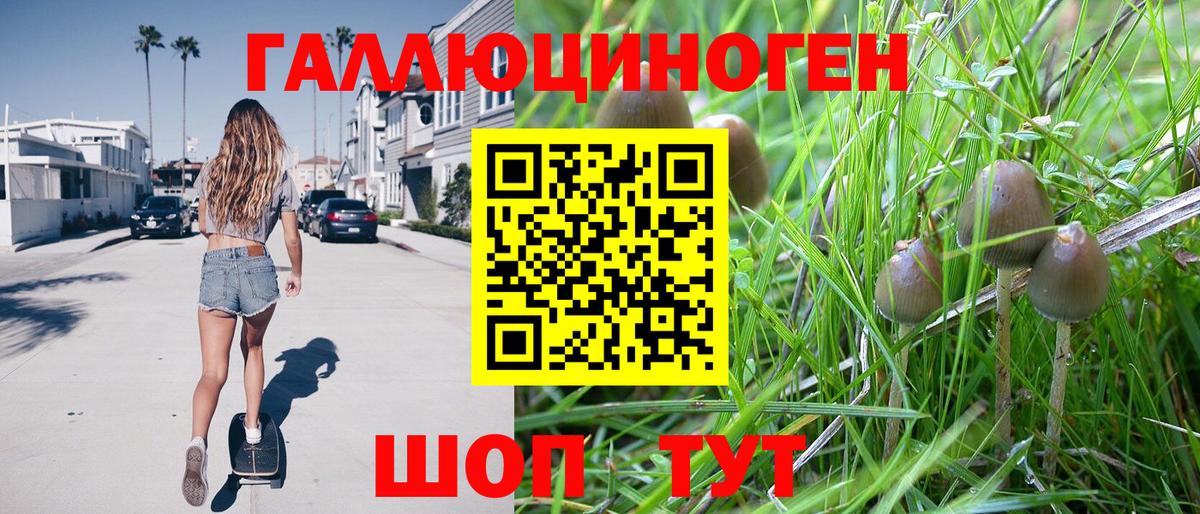 Псилоцибиновые грибы мицелий  Вход с VPN  Кинель 